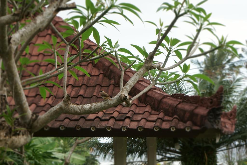 Puri Angsa Saba Apartment Keramas Exterior foto